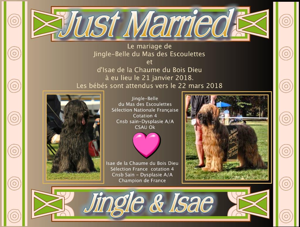 Du Mas Des Escoulettes - Mariage de Jingle-Belle et de Isaé 