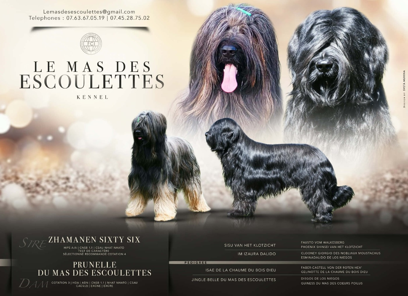 Prunelle du Mas des Escoulettes